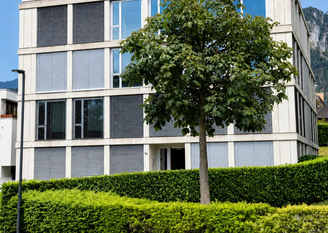 Praxisgebäude mit Bergpanorama